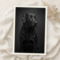Example print: black and white portrait of a black Labrador, printed on Hahnemühle Baryta FB 350g