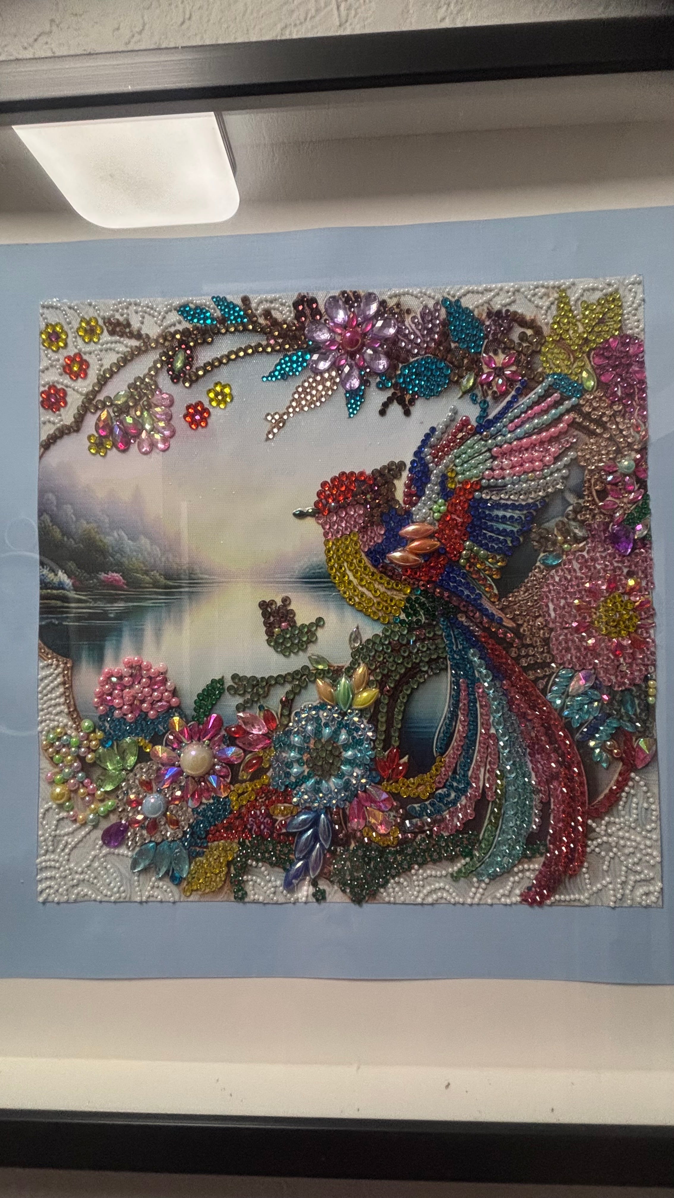 Paradise Bird — Framed Crystal Wall Art 30x30