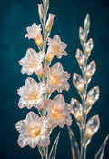 Echoes of Light — a tall spike of crystal gladiolus blooms glowing gold beside a second stem of luminous buds on deep teal